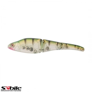 D. SEBILE Magic Swimmer MS-GL-NO-095-SK-NK2