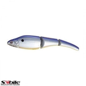 D. SEBILE Magic Swimmer MS-GL-NO-110-FSK-LV