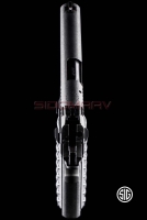 Sig Sauer 1911 We The People Blowback Havalı Tabanca