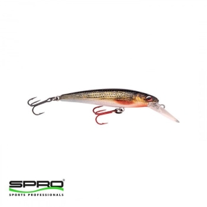 SPRO Ikiru Ntr. Micro Jerk 50 Roach Maket Yem