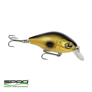 SPRO PC-P Dopey Crank 45 Gold Shiner Maket Yem